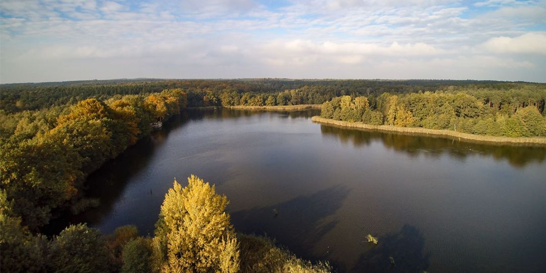 RegionWermsdorf Teichwirtschaft Wermsdorf